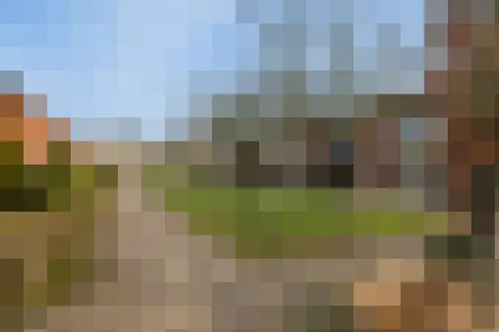 Witte de Withlaan 35 Woudenberg thumbnail 46