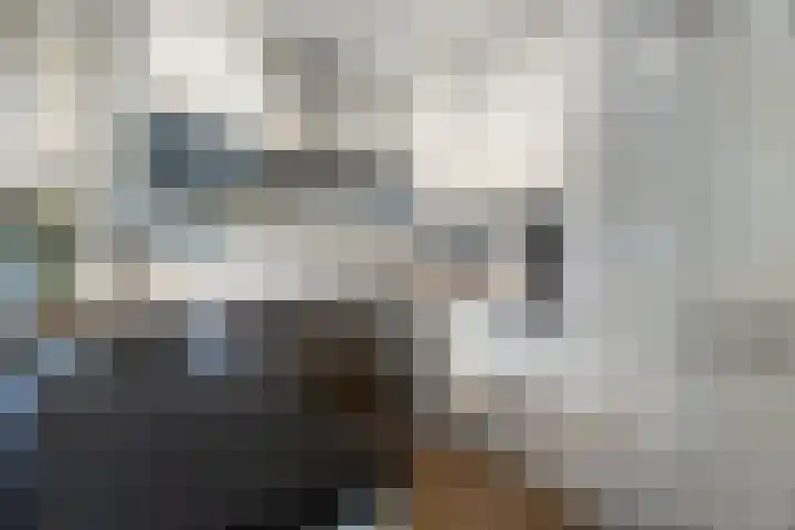 Witte de Withlaan 4 Bussum thumbnail 14