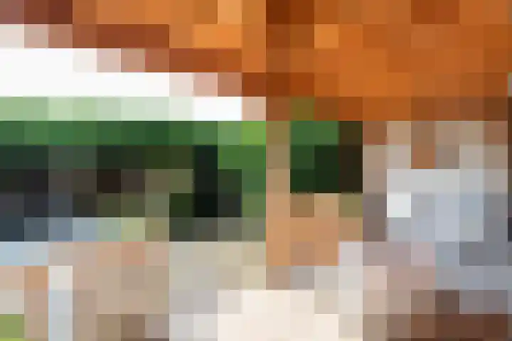 Witte de Withlaan 4 Bussum thumbnail 18