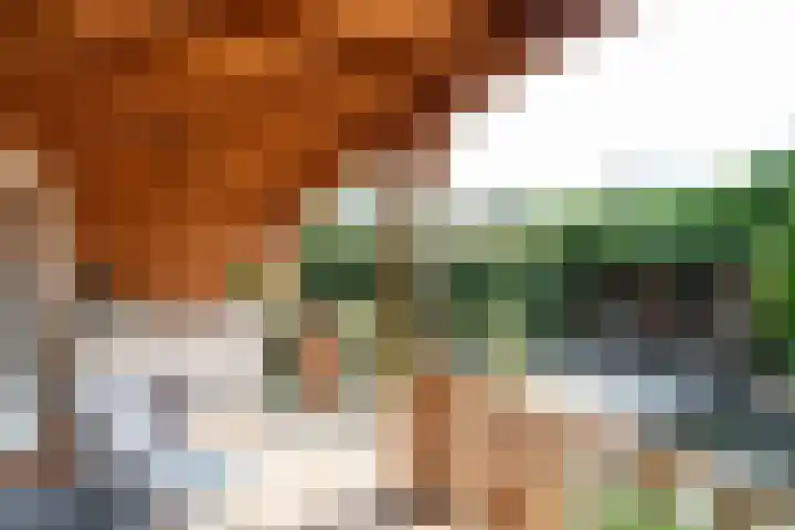 Witte de Withlaan 4 Bussum thumbnail 20