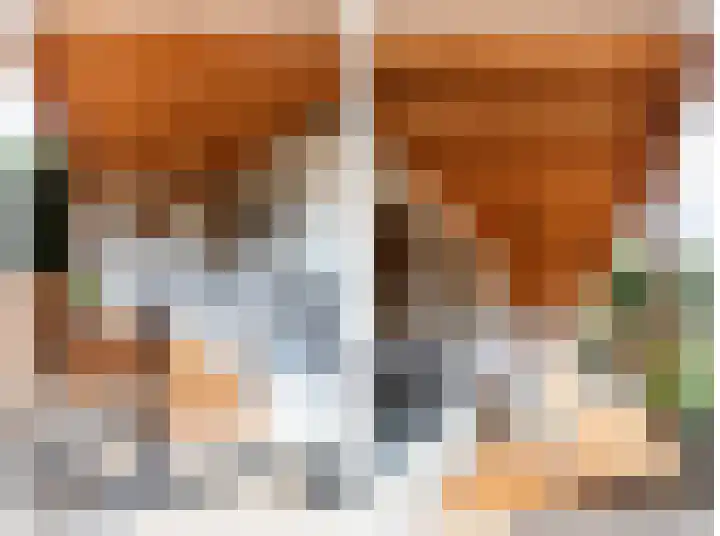 Witte de Withlaan 4 Bussum thumbnail 21