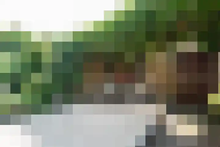 Witte de Withlaan 4 Bussum thumbnail 22