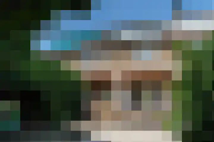 Witte de Withlaan 4 Bussum thumbnail 23