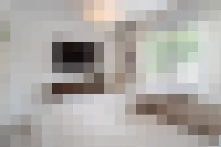 Witte de Withlaan 4 Bussum thumbnail 27