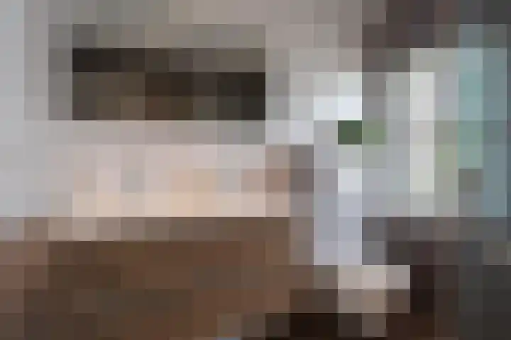 Witte de Withlaan 4 Bussum thumbnail 28