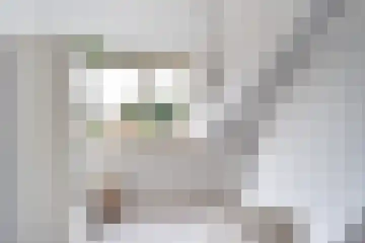 Witte de Withlaan 4 Bussum thumbnail 35