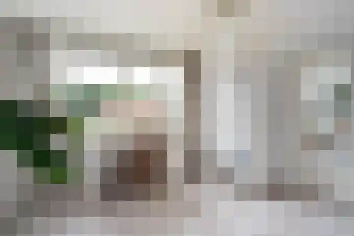 Witte de Withlaan 4 Bussum thumbnail 38