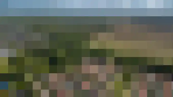 Witte de Withlaan 4 Bussum thumbnail 43