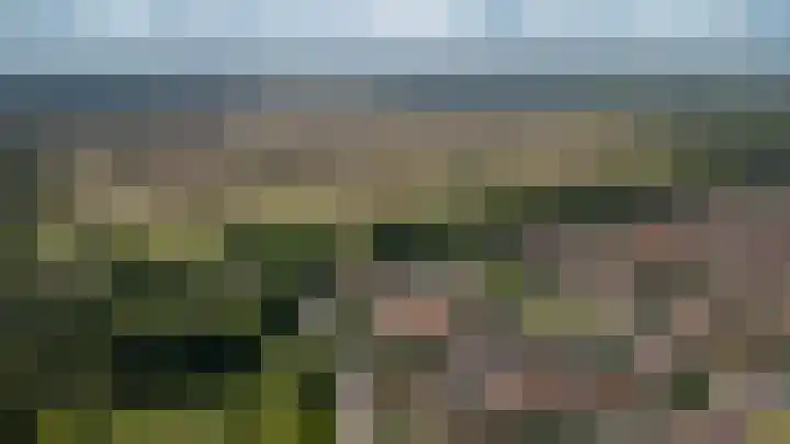 Witte de Withlaan 4 Bussum thumbnail 44