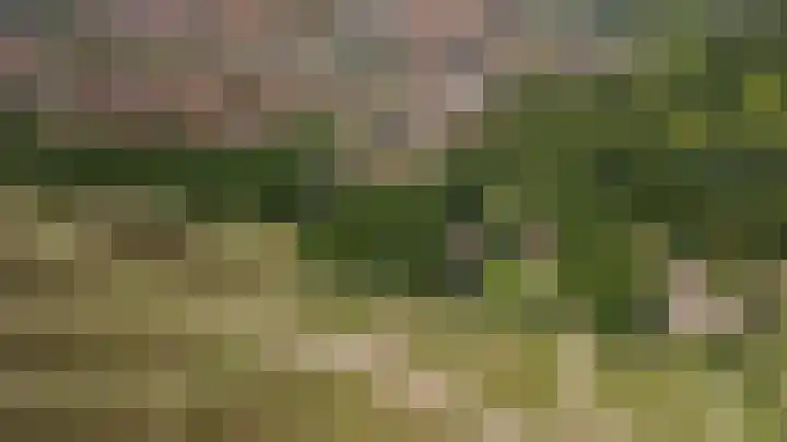 Witte de Withlaan 4 Bussum thumbnail 45