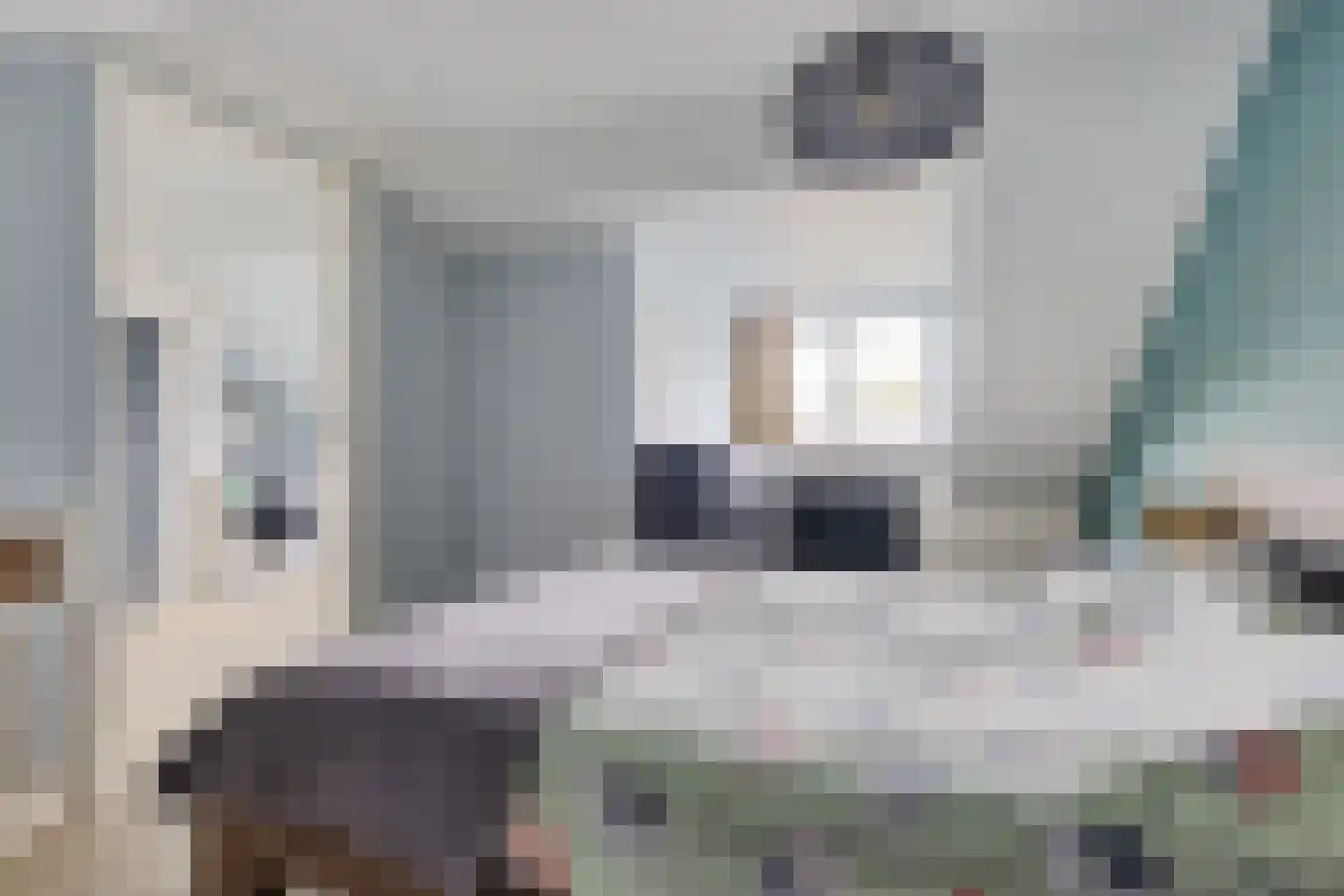 Witte de Withlaan 8 Woudenberg thumbnail 33