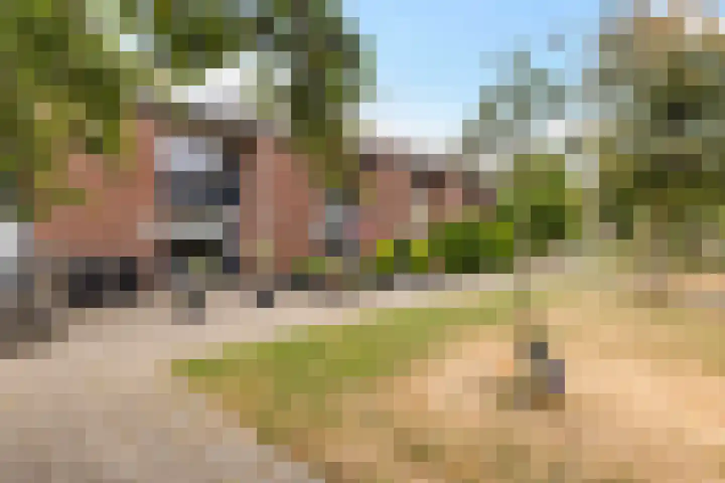 Witte de Withlaan 8 Woudenberg thumbnail 6