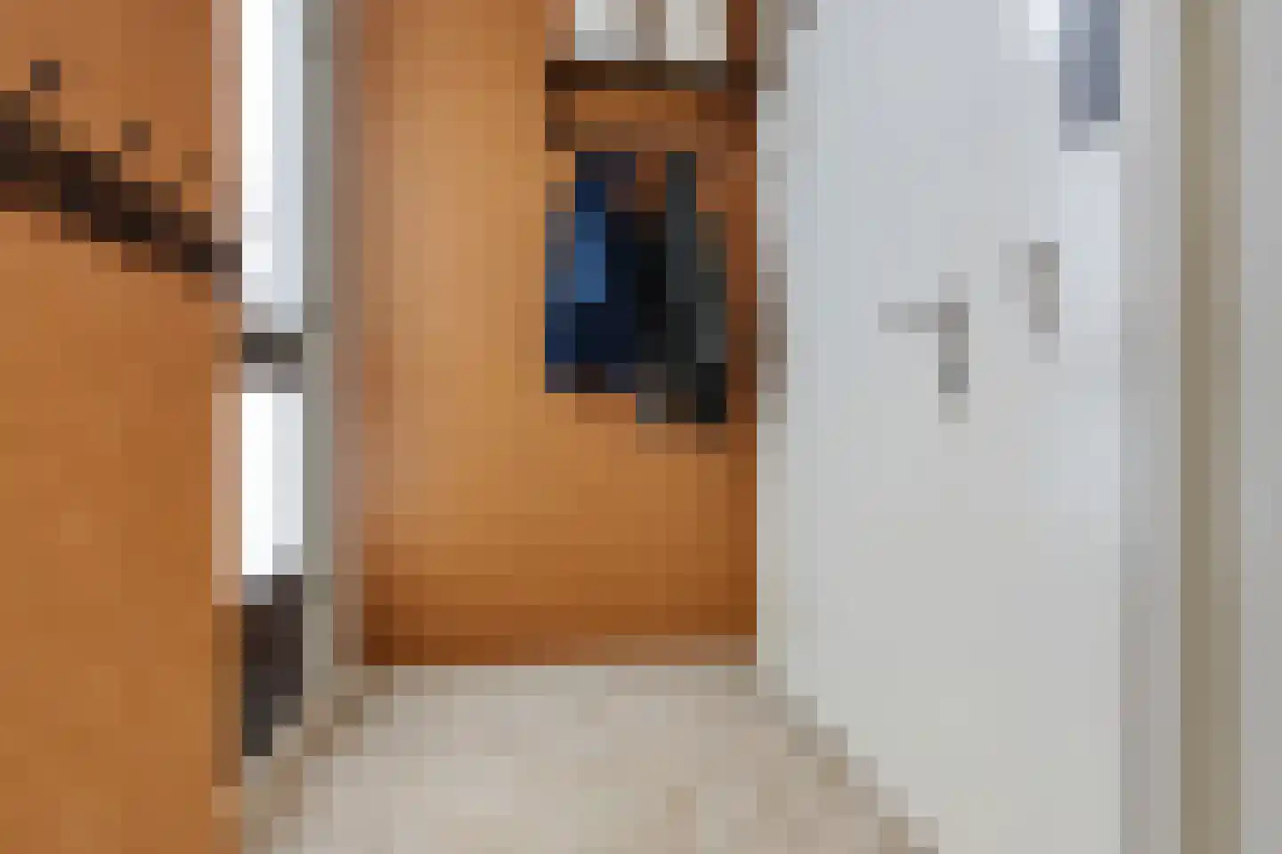 Witte de Withlaan 8 Woudenberg thumbnail 8