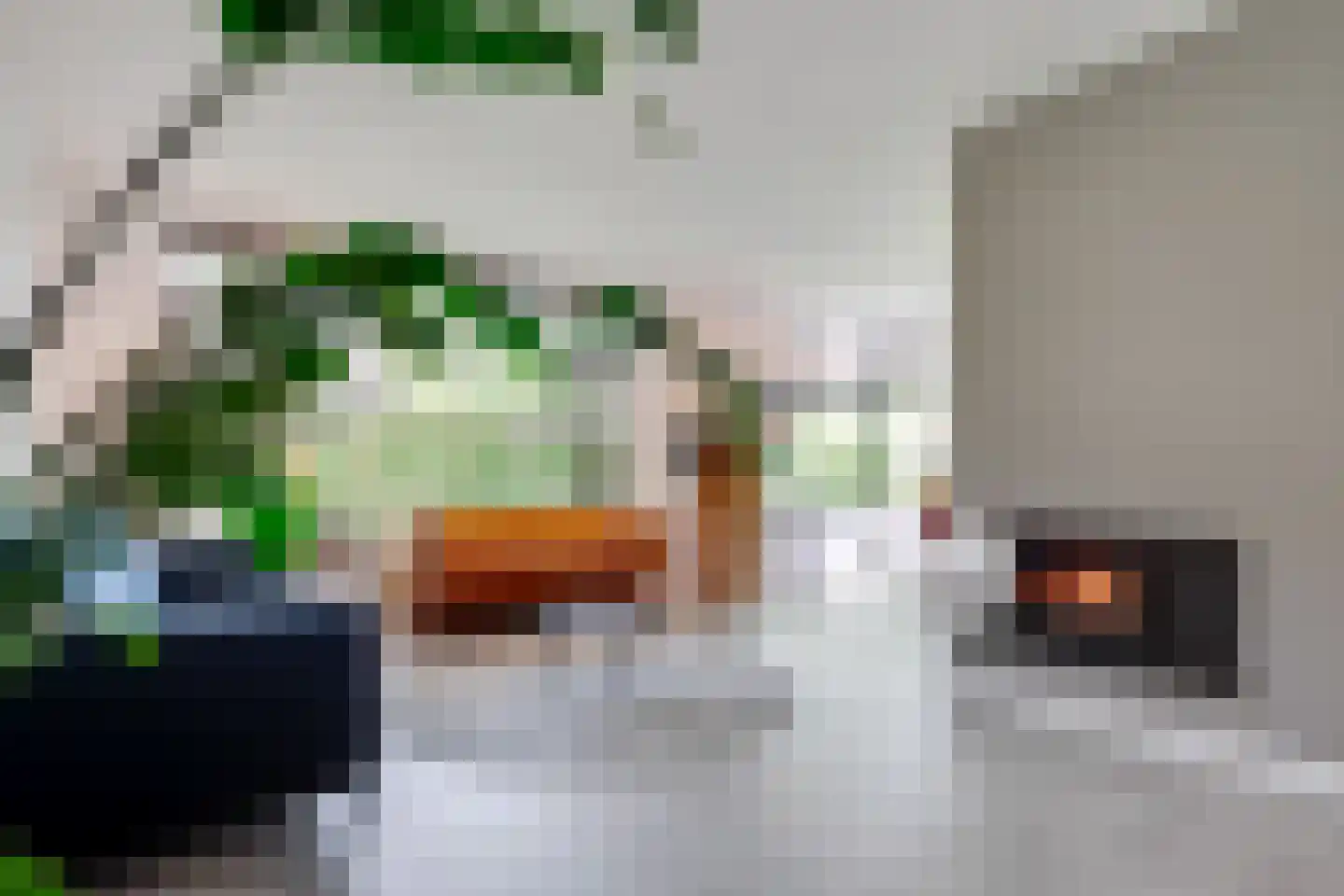 Witte de Withlaan 9 Doorn thumbnail 12
