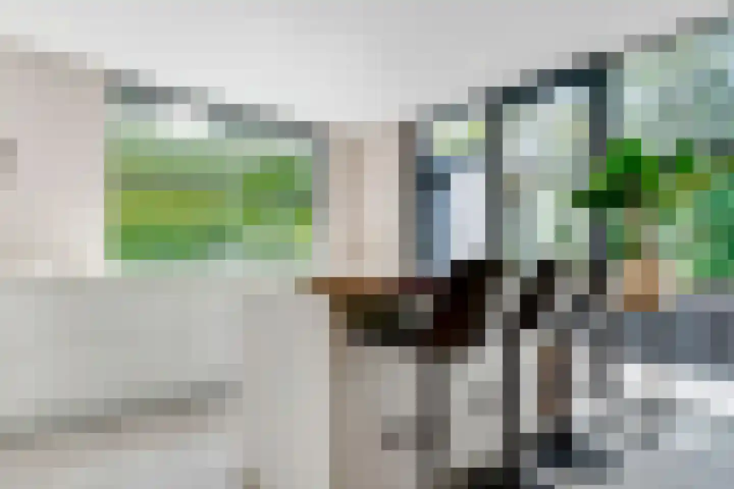 Witte de Withlaan 9 Doorn thumbnail 23