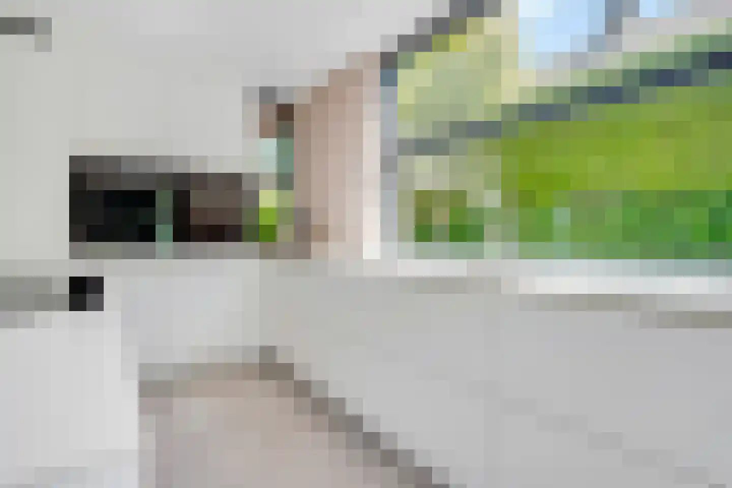 Witte de Withlaan 9 Doorn thumbnail 26