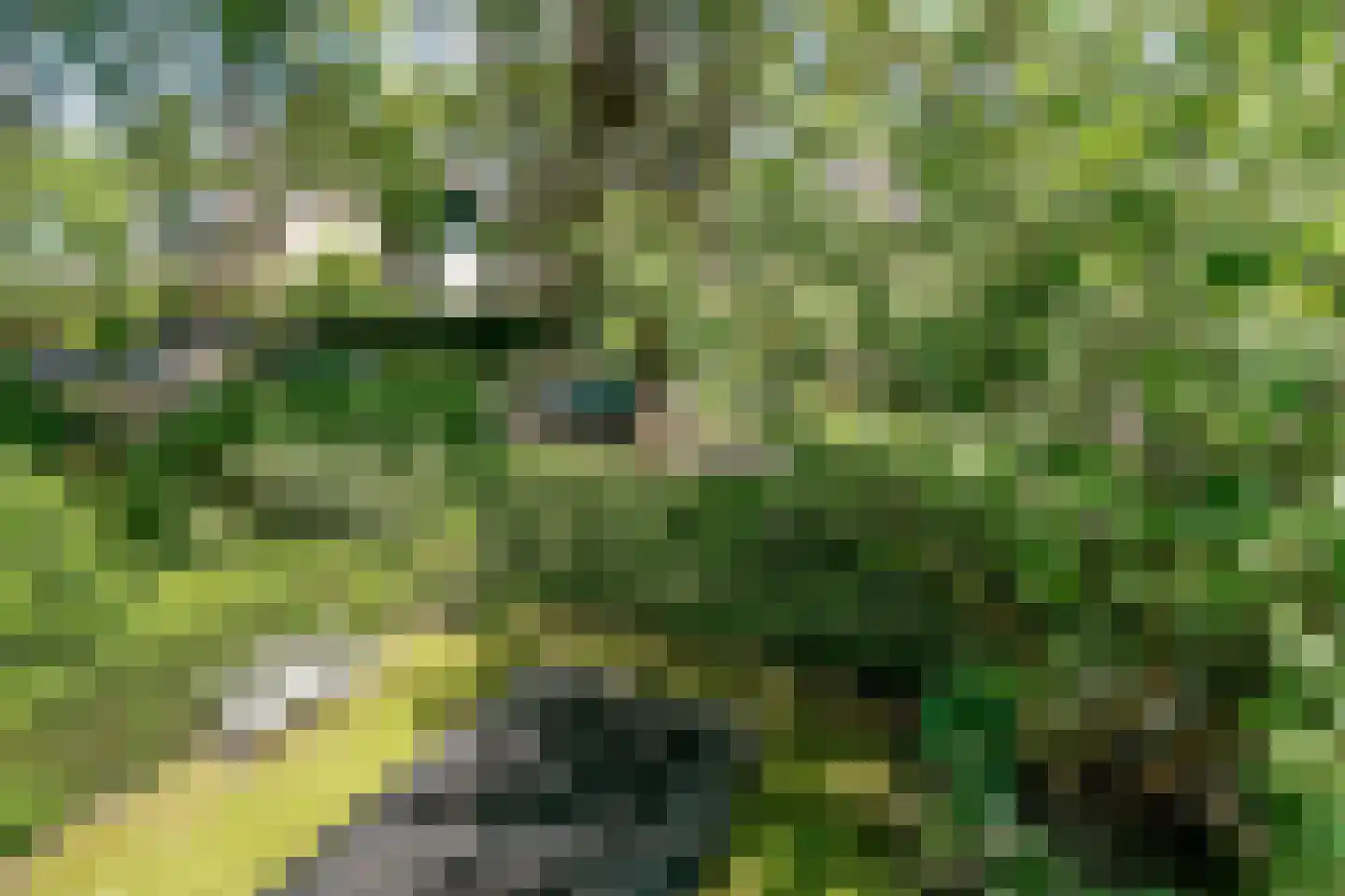 Witte de Withlaan 9 Doorn thumbnail 52