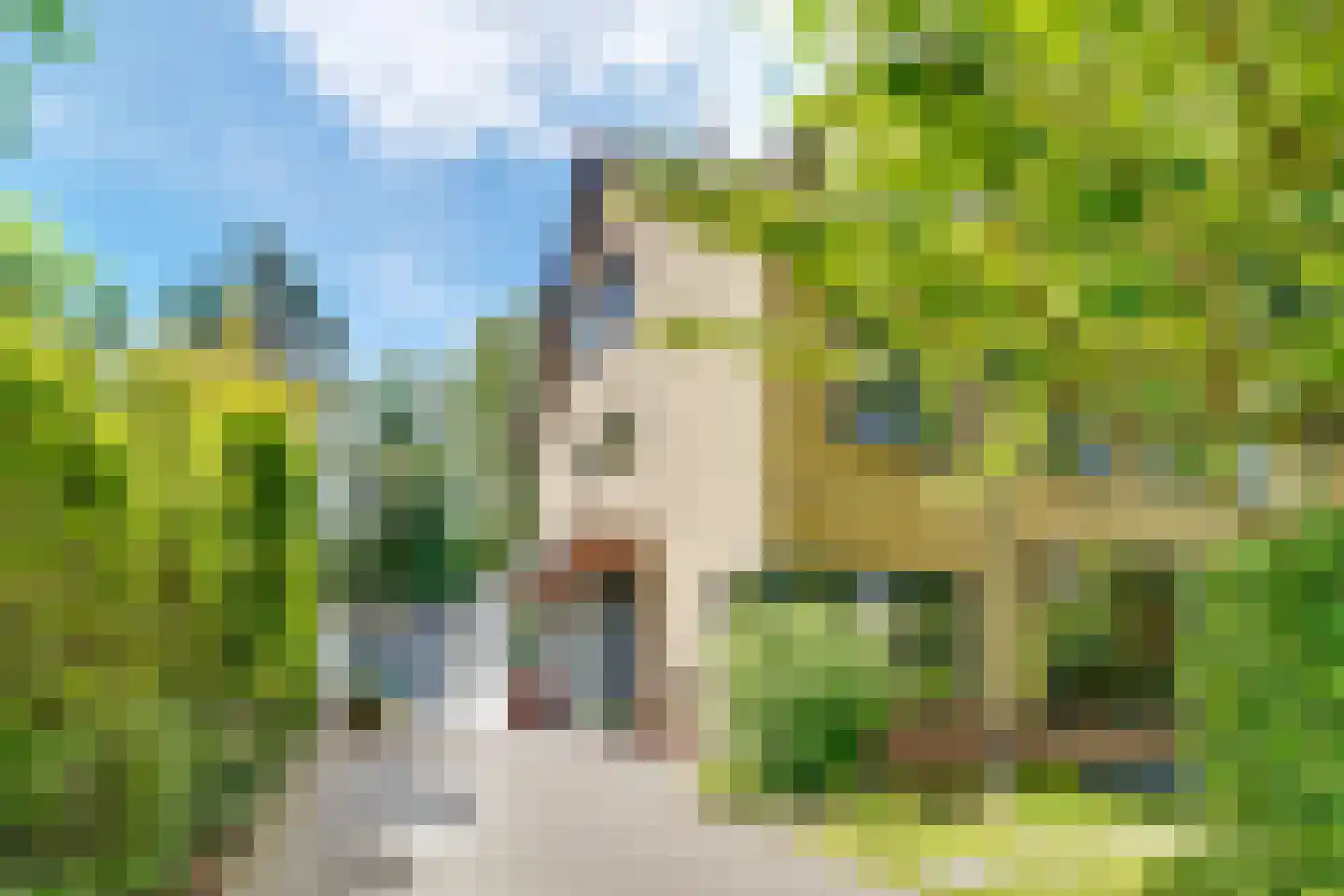 Witte de Withlaan 9 Doorn thumbnail 6