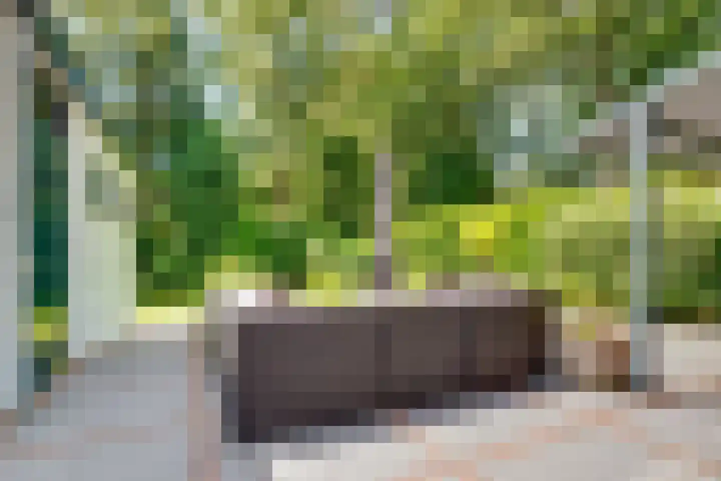 Witte de Withlaan 9 Doorn thumbnail 61