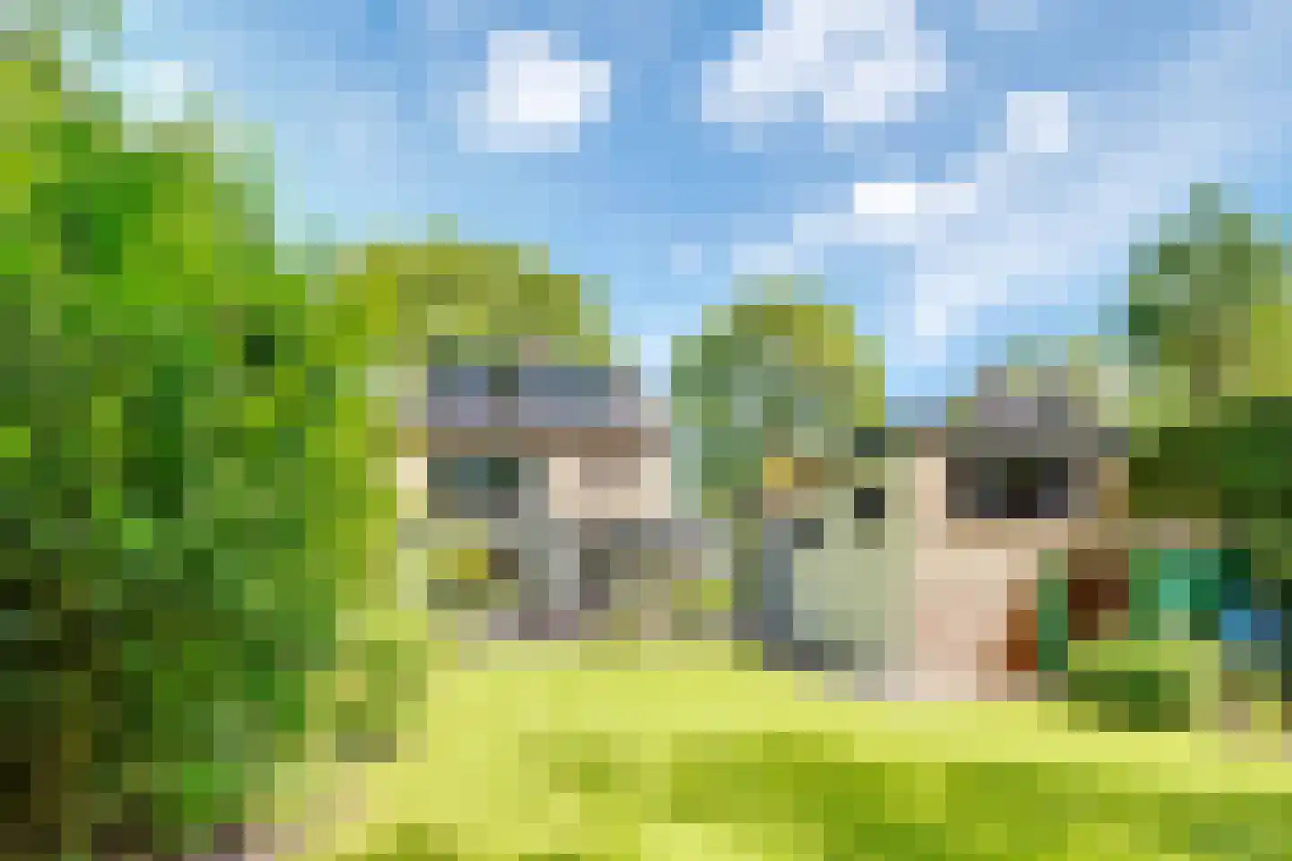 Witte de Withlaan 9 Doorn thumbnail 62