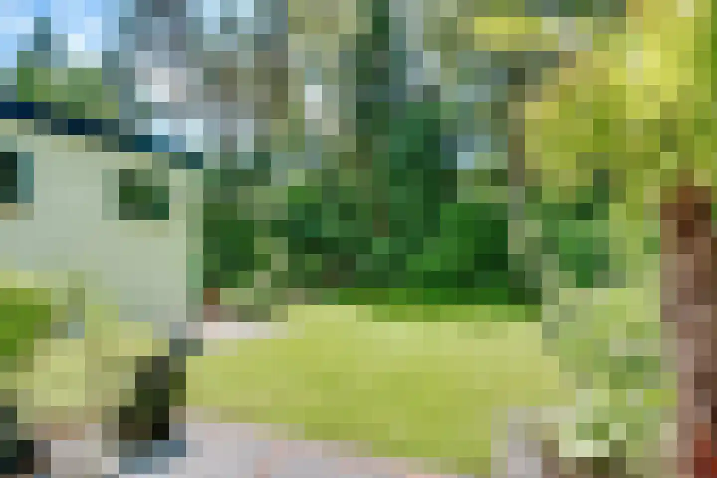 Witte de Withlaan 9 Doorn thumbnail 63