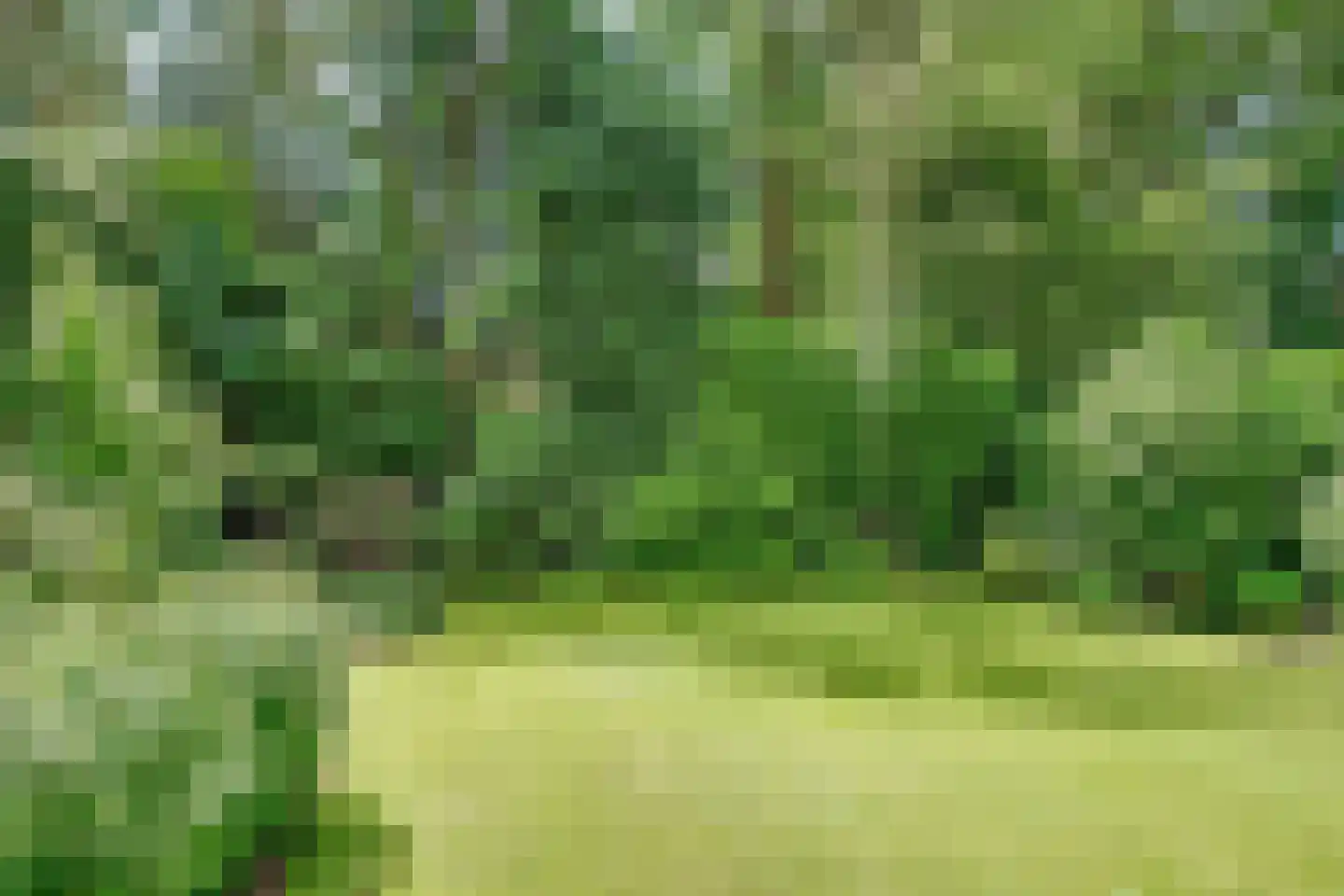 Witte de Withlaan 9 Doorn thumbnail 64