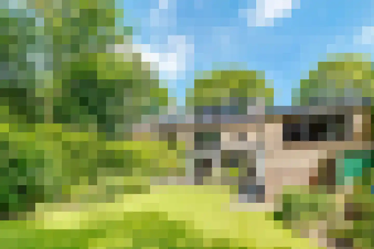 Witte de Withlaan 9 Doorn thumbnail 65