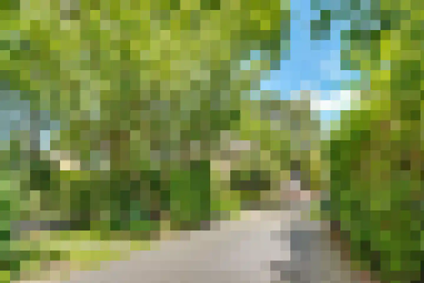 Witte de Withlaan 9 Doorn thumbnail 67