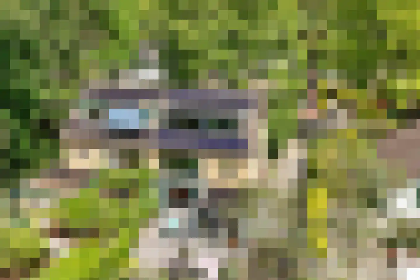 Witte de Withlaan 9 Doorn thumbnail 68