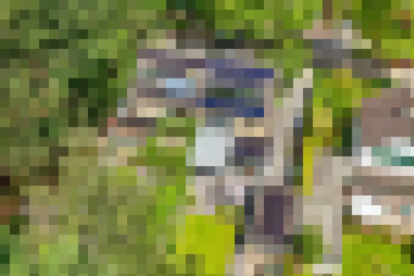 Witte de Withlaan 9 Doorn thumbnail 71