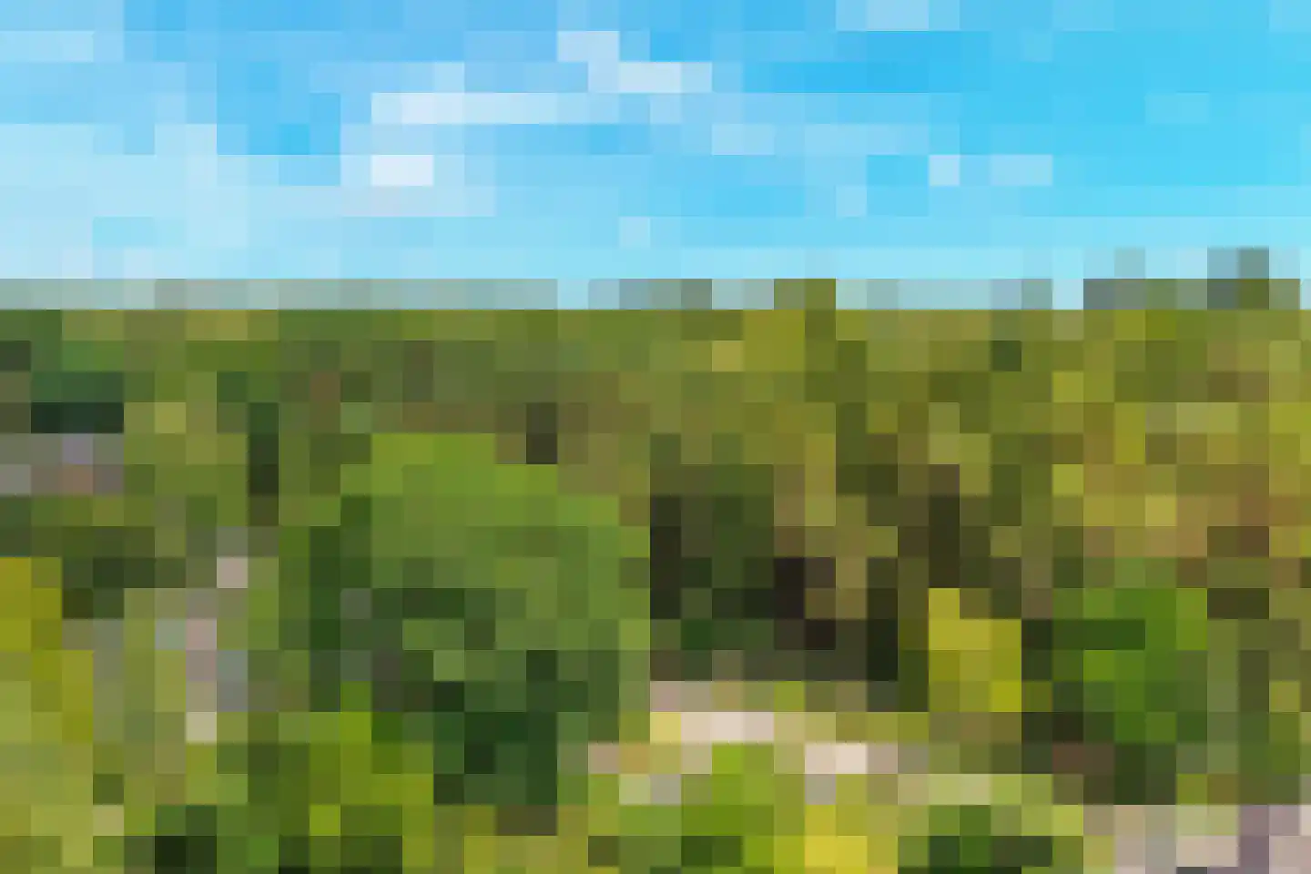 Witte de Withlaan 9 Doorn thumbnail 72