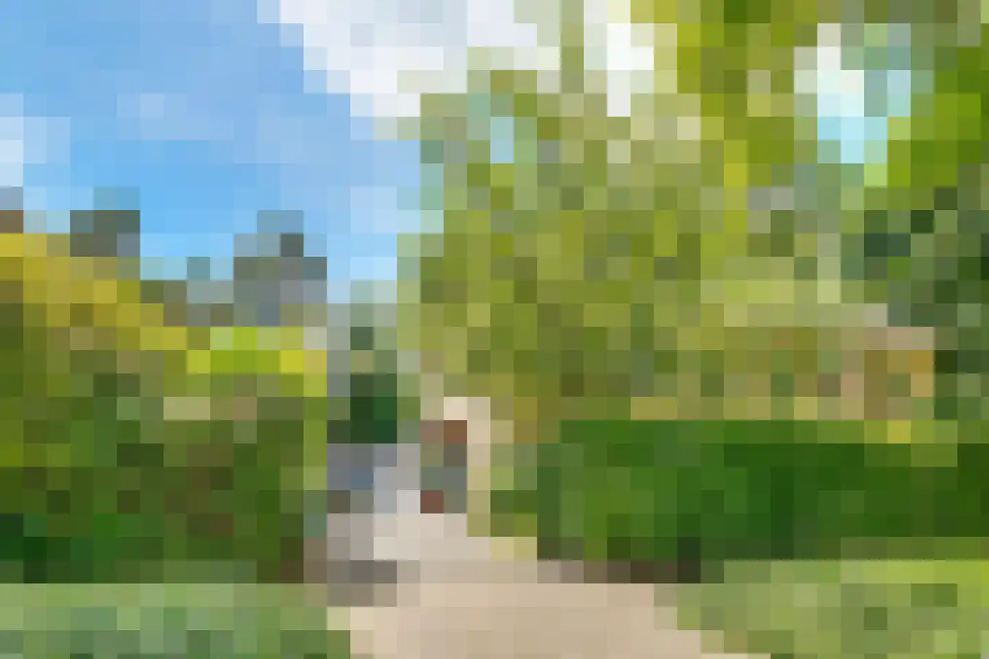 Witte de Withlaan 9 Doorn thumbnail 8