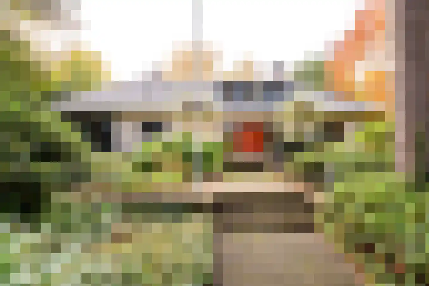 Witte de Withlaan 9 Nijverdal