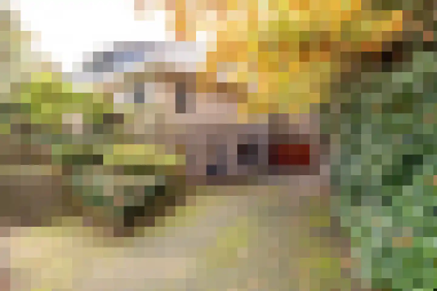 Witte de Withlaan 9 Nijverdal thumbnail 10