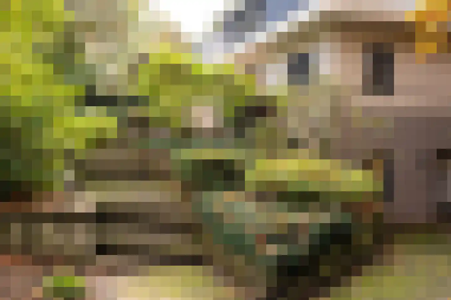 Witte de Withlaan 9 Nijverdal thumbnail 11