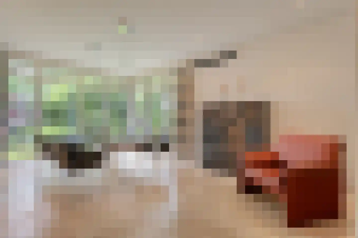 Witte de Withlaan 9 Nijverdal thumbnail 12