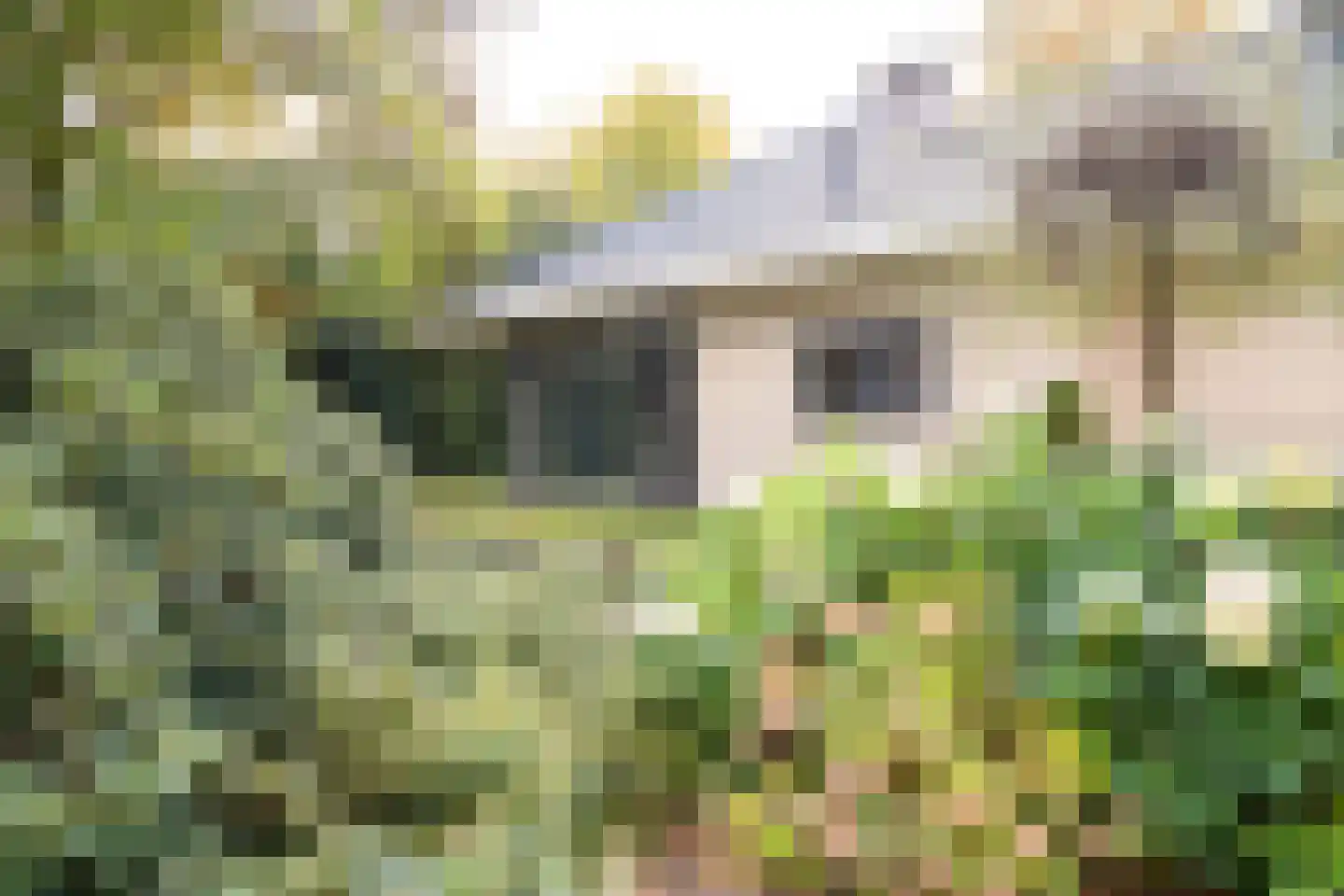 Witte de Withlaan 9 Nijverdal thumbnail 12