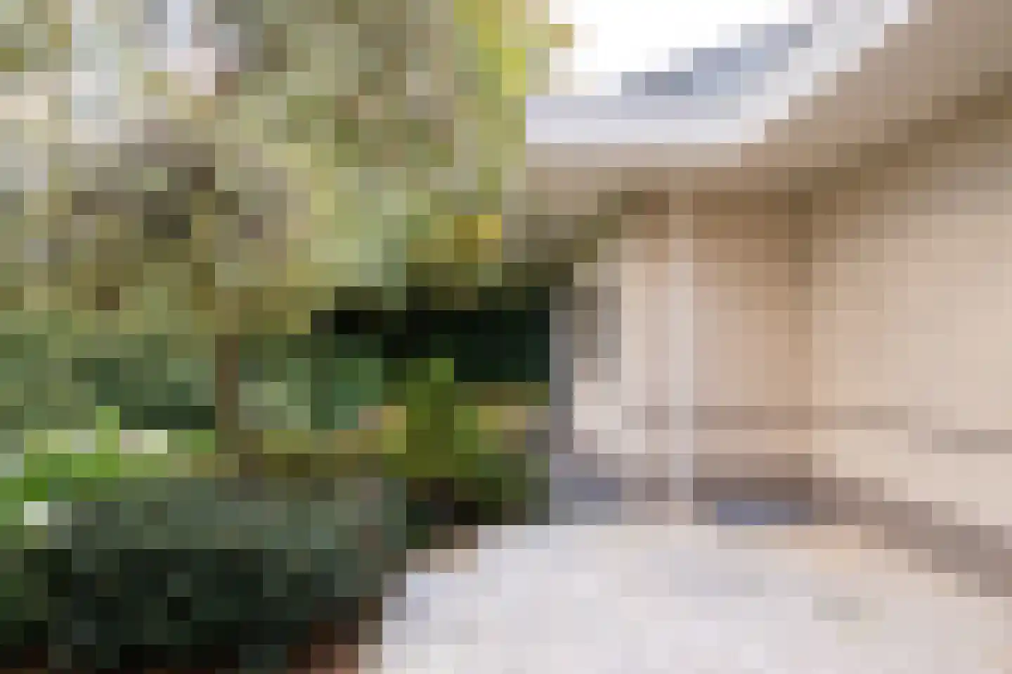Witte de Withlaan 9 Nijverdal thumbnail 13