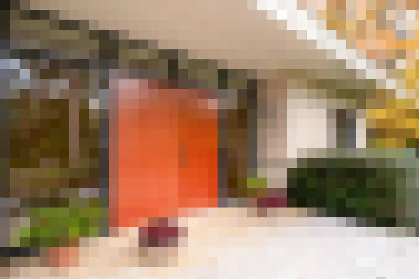 Witte de Withlaan 9 Nijverdal thumbnail 14