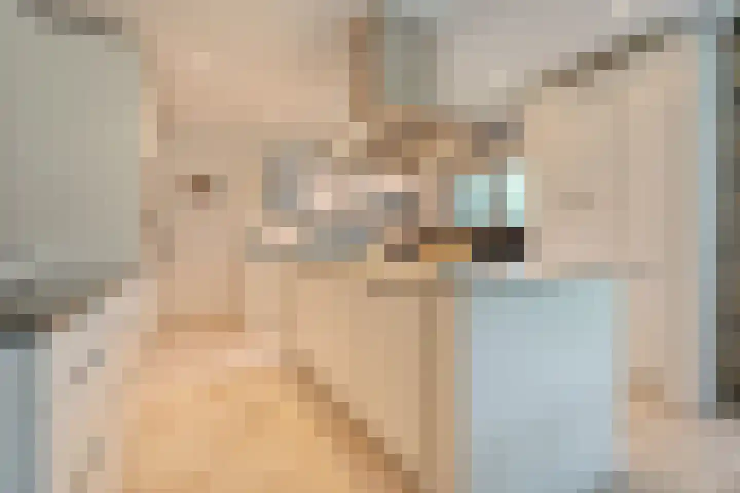 Witte de Withlaan 9 Nijverdal thumbnail 15