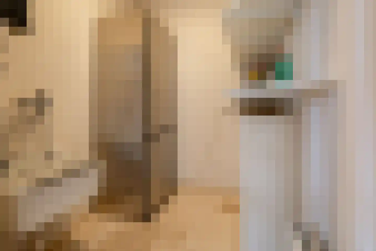 Witte de Withlaan 9 Nijverdal thumbnail 17