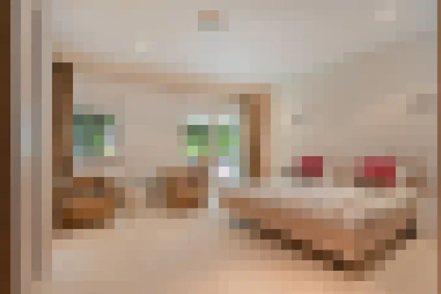 Witte de Withlaan 9 Nijverdal thumbnail 20