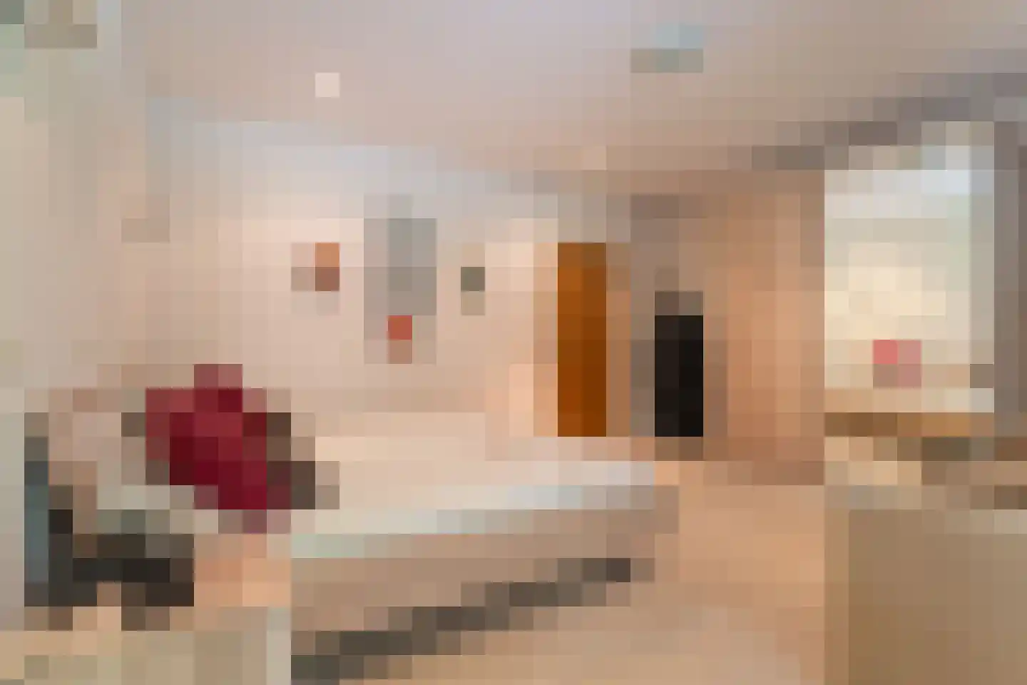 Witte de Withlaan 9 Nijverdal thumbnail 21