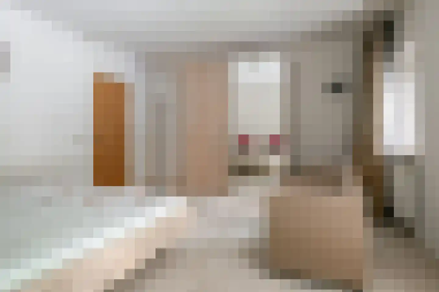 Witte de Withlaan 9 Nijverdal thumbnail 26