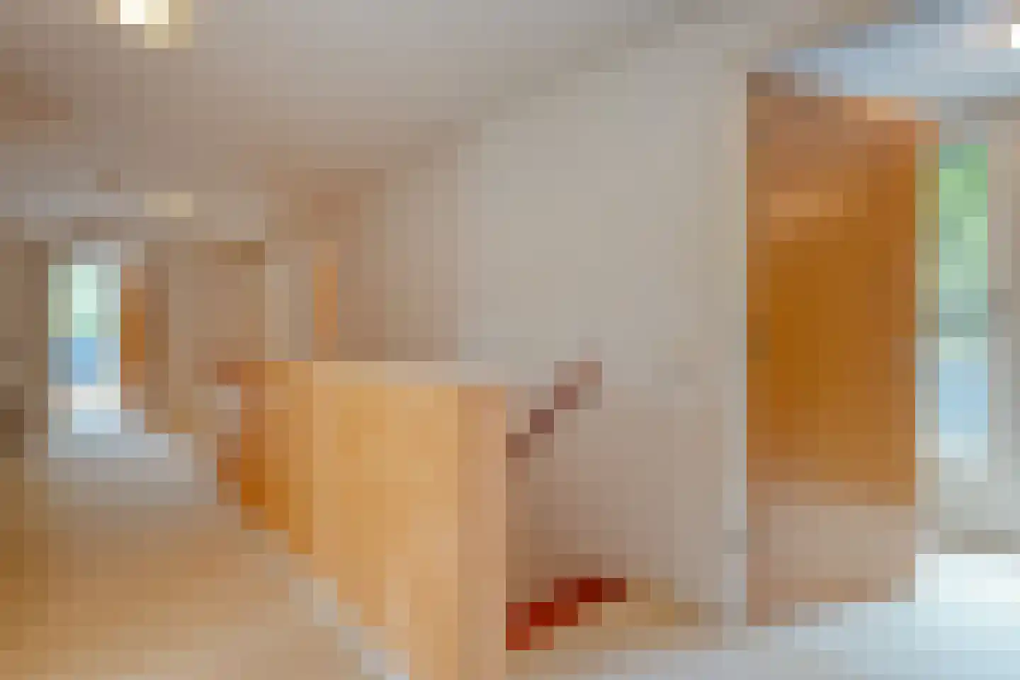 Witte de Withlaan 9 Nijverdal thumbnail 28