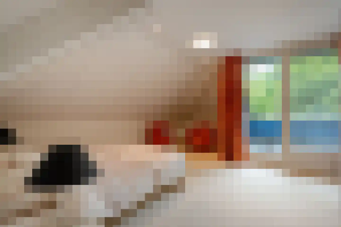 Witte de Withlaan 9 Nijverdal thumbnail 30