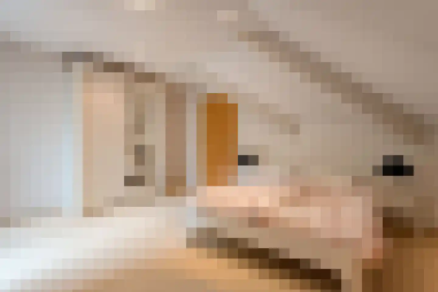 Witte de Withlaan 9 Nijverdal thumbnail 31