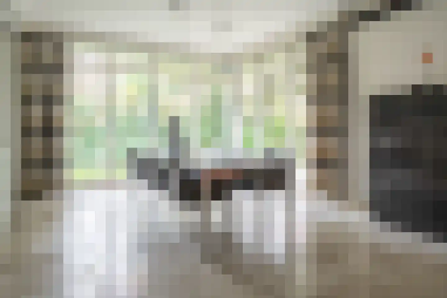 Witte de Withlaan 9 Nijverdal thumbnail 32
