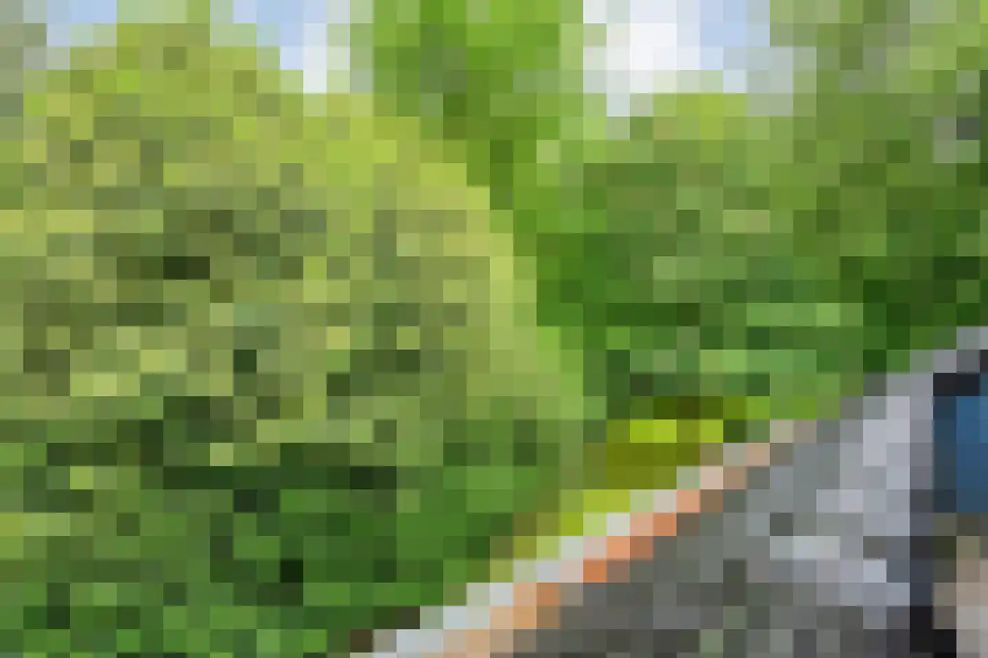 Witte de Withlaan 9 Nijverdal thumbnail 34
