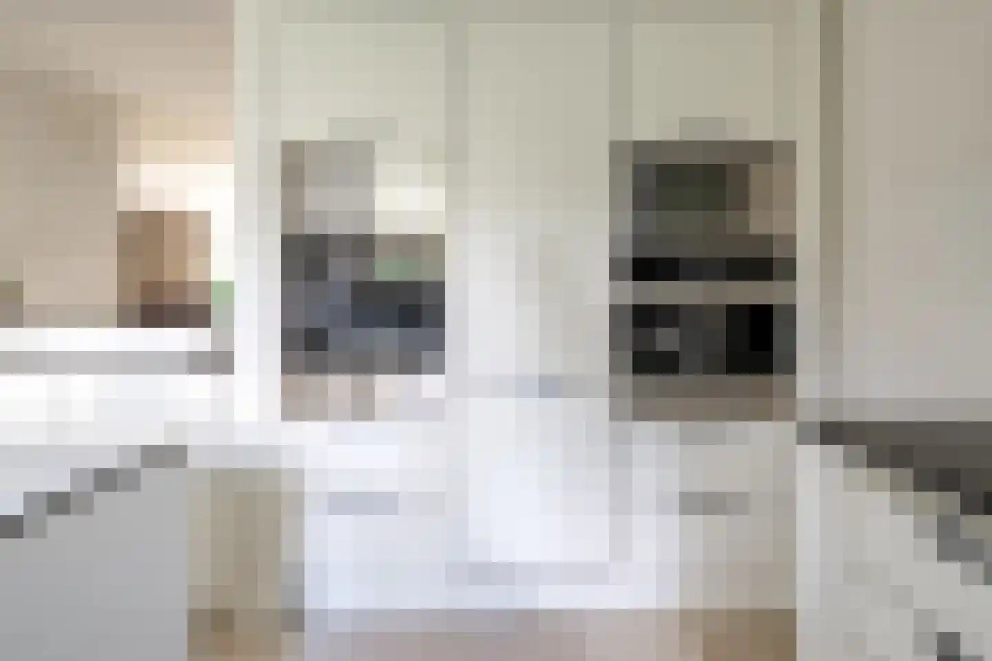 Witte de Withlaan 9 Nijverdal thumbnail 34